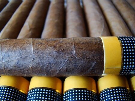 Cuban cigars                              の写真素材