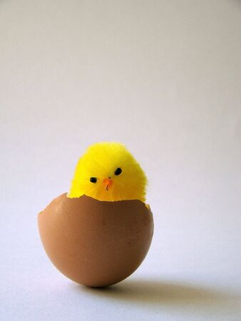Chick in an egg                               