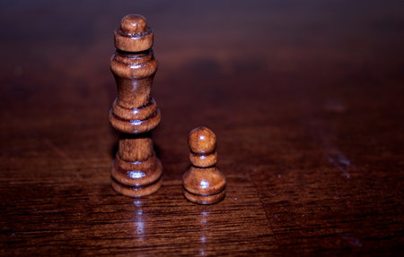 Different chess pieces on wooden table