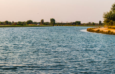 Shot of a lake in the park.
