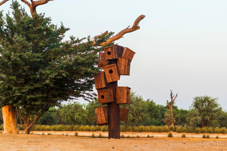 Shot of a bird houses installed on the wooden barkの写真素材