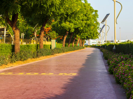 Dubai, UAE - 05.21.2021 - Jogging track in Nad Al Hamar park, early in the morning. Lamp post powered by solar panels can be seen in the pictureの写真素材