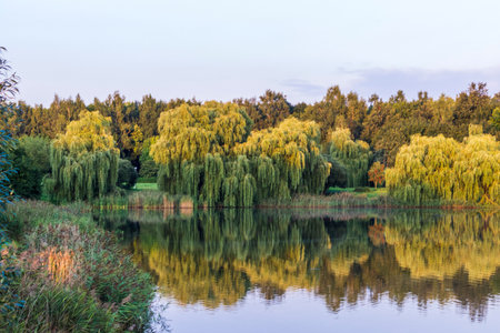 Landscape shot of the beautiful park