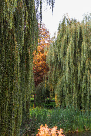 Landscape shot of the beautiful park