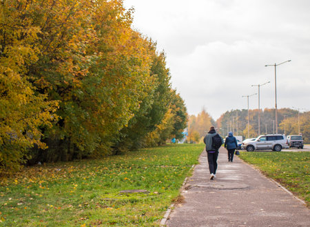 Shot of the colorful autumn trees.の写真素材