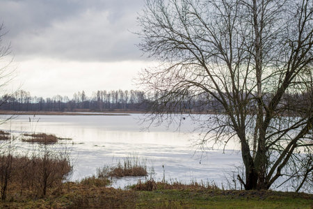 Landscape shot of the lake during cold seasonの写真素材