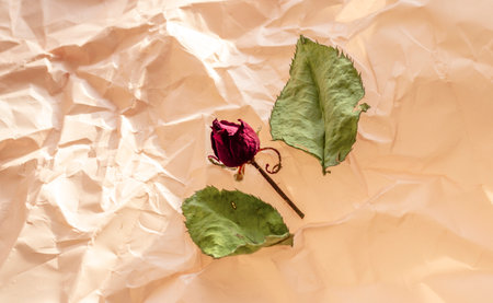 Concept shot of the background theme, wrapping paper, dried roses other flowers and other arrangements.の写真素材