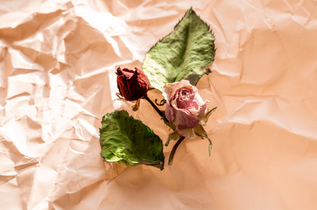 Concept shot of the background theme, wrapping paper, dried roses other flowers and other arrangements.の写真素材