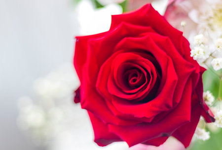 Close up shot of the valentines bouquet with beautiful, colorful flowers and post cardの写真素材