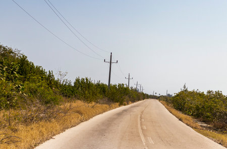 Concept shot of the road in the rural villageの写真素材