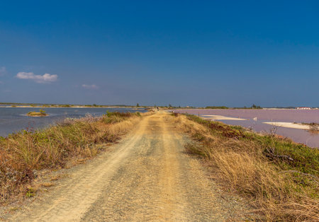 Shot of the two different colored lakes in Cuba, Cayo Coco island. Pink one has its color because of the planktonの写真素材