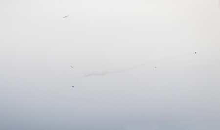 Military jets performing stunts in the sky. Birds on the foreground