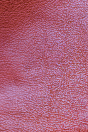 Close up shot of the natural leather.