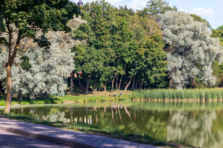 Landscape shot of the lakeの写真素材