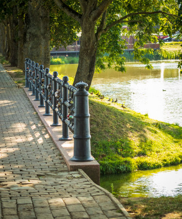Shot of an alley in the parkの写真素材