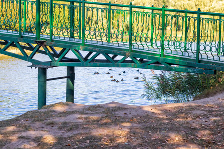 Shot of the bridge across the pondの写真素材