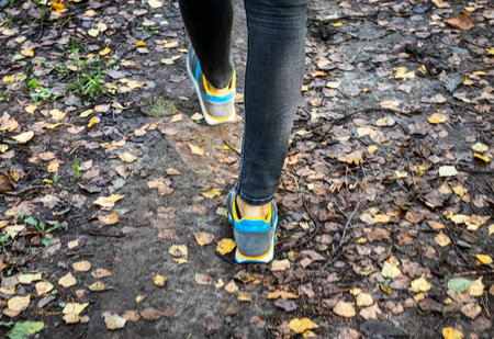 Woman walks on the forest trail.