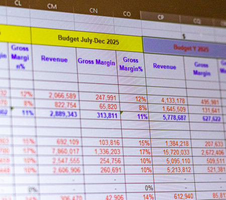 Shot of a computer screen showing excel table with company budget openの写真素材