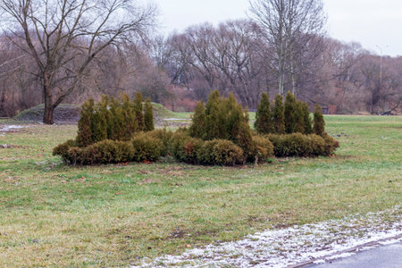 Shot of the winter parkの写真素材