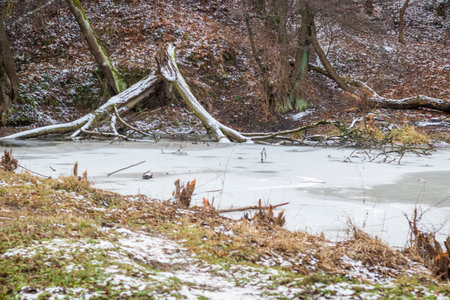 Shot of the frozen winter riverの写真素材