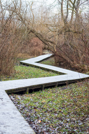 Wooden path walk in the park covered with frost
