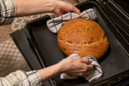 Woman takes out freshly baked loaf of rye bread on the tray with linen cloth from the ovenの写真素材