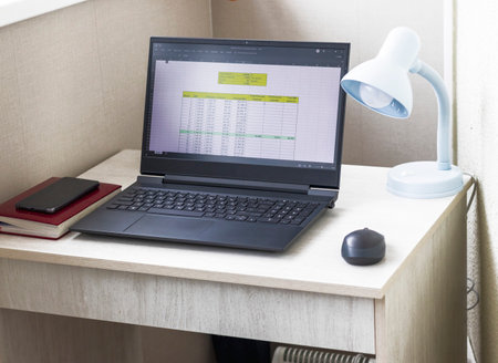 Shot of an excel sheet on computer screen showing bank loan amortization table.の写真素材