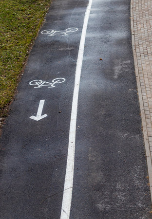 Jogging, walking, cycling path in the park
