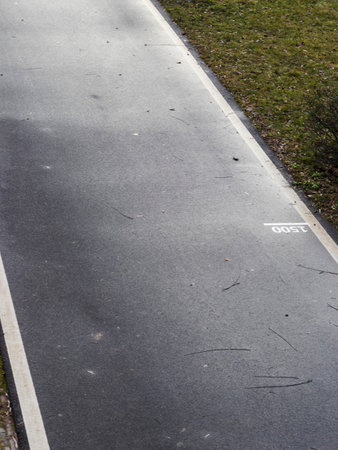 Jogging, walking, cycling path in the parkの写真素材