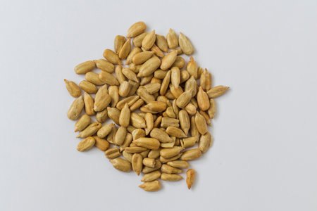 Close up shot of peeled sunflower seeds on white background