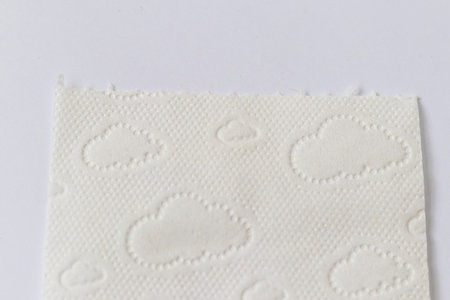 Shot of the toilet paper pattern