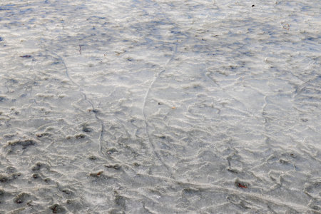 Lake covered with thawed ice.の写真素材