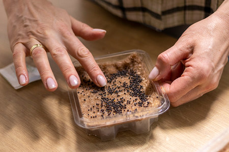 Person plants seeds of micro greens to the jute mat.の写真素材
