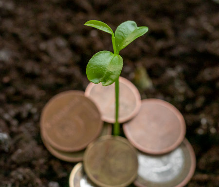 Just sprouted trough the different metal coins green shootの写真素材
