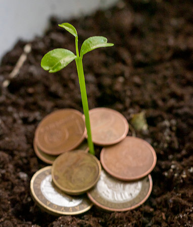 Just sprouted trough the different metal coins green shootの写真素材
