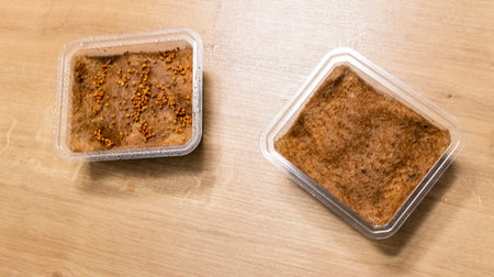Plastic containers used for growing micro greens with jute mat with watered seedsの写真素材