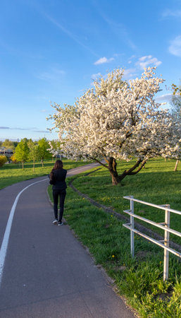 Woman takes photo with her of the blooming with flowers fruit tree in the parkの写真素材