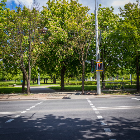 Shot of the signal light at the pedestrian crossingの写真素材