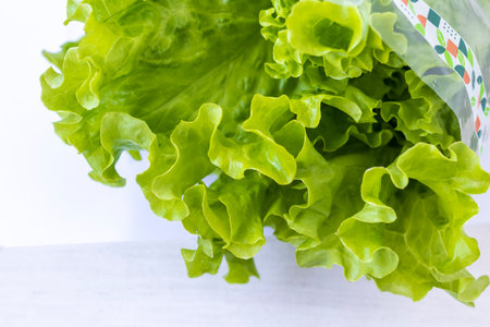 Fresh lettuce leaves on white backgroundの写真素材