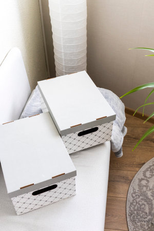 Carton boxes stacked in the couch in cozy room