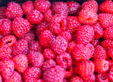 Close up shot of the raspberries