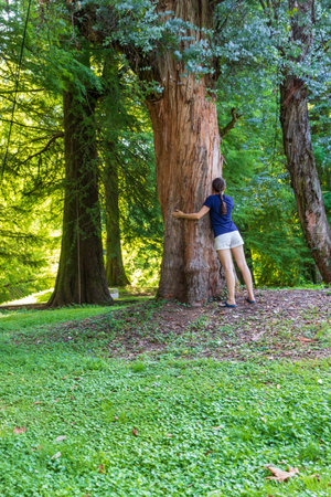 Woman hugging the tree in the arboretumの写真素材