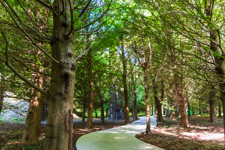 A path paved with small colored pebblesの写真素材