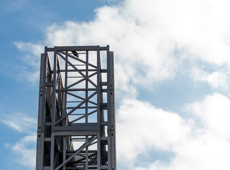 The crow on the metal structure