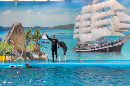 11.11.2025 - Minsk, Belarus - fur seal entertaining the visitors in Minsk dolphinariumのeditorial素材