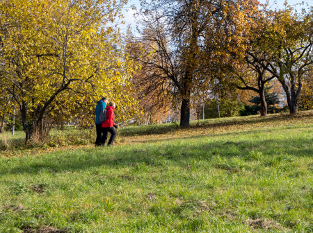 11.11.2025 - Minsk, Belarus - A couple walking in the autumn parkのeditorial素材