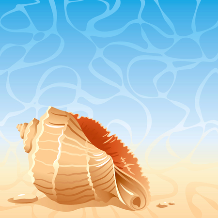 Sea background with large shellのイラスト素材
