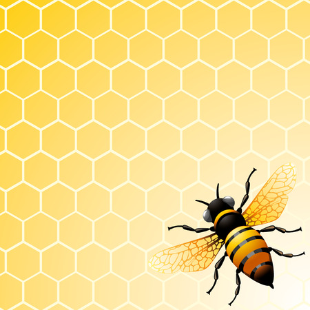Bee on honeycomb. Background for you design.のイラスト素材