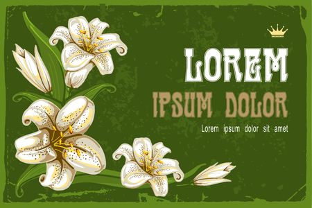 Wonderful vintage background with lilies, vector illustrationのイラスト素材