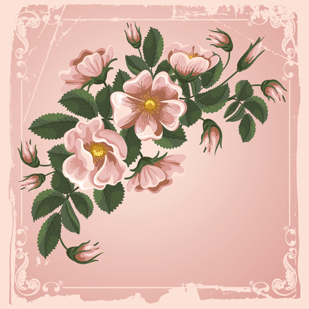 Romantic floral background with vintage flowers of briarsのイラスト素材